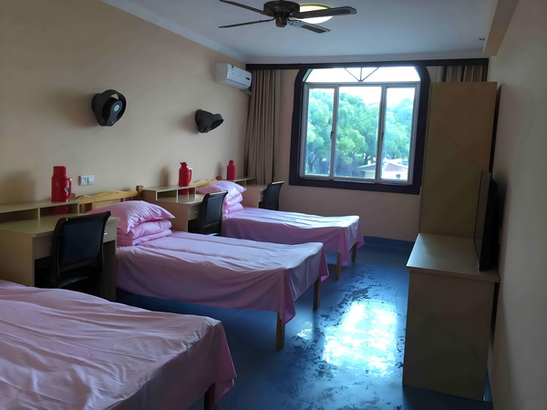 罚你做男仆：公主殿下小太妹